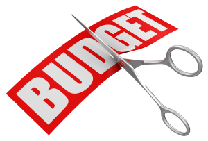 budget cut